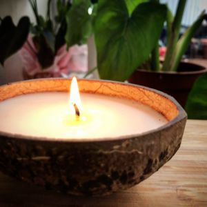 Kokosová skořápka pro výrobu svíčky od Naturgreen®  
