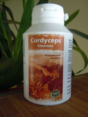 100%  přírodní Cordyceps sinensis 