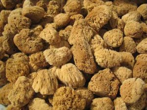  Naturgreen® Natural Sea Sponges 