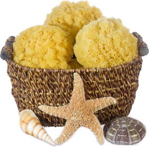   Naturgreen® Natural Sea Sponges 