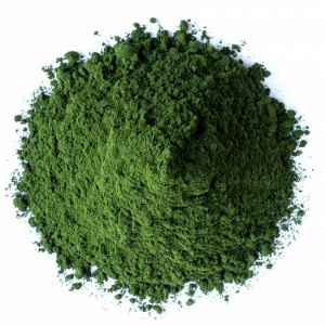 Chlorella Taiwan 