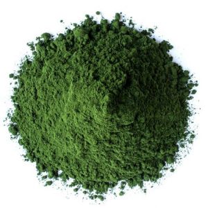 Chlorella Taiwan