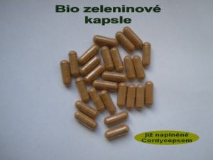 100%  přírodní Cordyceps sinensis 